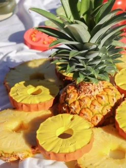 Ananas L'Ananas - OLI & CAROL Jaune - Oli Et Carol -Boutique Ergobaby ananas lananas oli carol 4