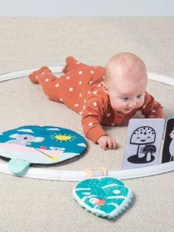 Cerceau D'activités Koala TAFTOYS Beige - Taf Toys -Boutique Ergobaby cerceau dactivites koala taftoys 2