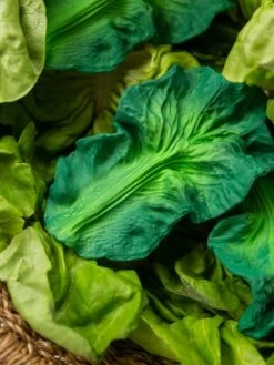 Jouet De Dentition Kendall La Feuille De Chou - OLI & CAROL Vert - Oli Et Carol -Boutique Ergobaby jouet de dentition kendall la feuille de chou oli carol 4