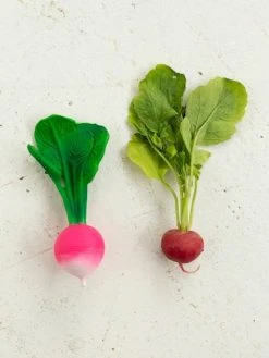 Jouet De Dentition Ramona Le Radis - OLI & CAROL Rose - Oli Et Carol -Boutique Ergobaby jouet de dentition ramona le radis oli carol 5