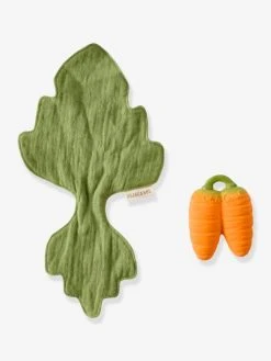 Mini Doudou Cathy La Carotte - OLI & CAROL Orange - Oli Et Carol 9 Mini Doudou Cathy La Carotte - OLI & CAROL Orange - Oli Et Carol -Boutique Ergobaby mini doudou cathy la carotte oli carol 4